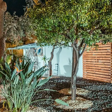 Garden Hotel 2*