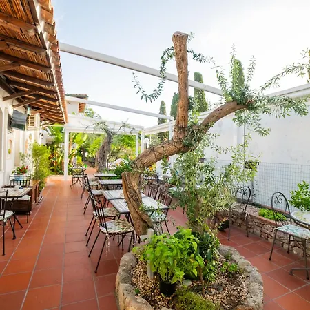 Garden 2*