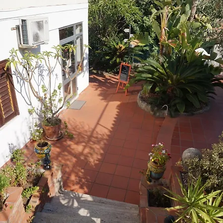 Garden 2*