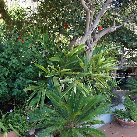 Hotel Garden